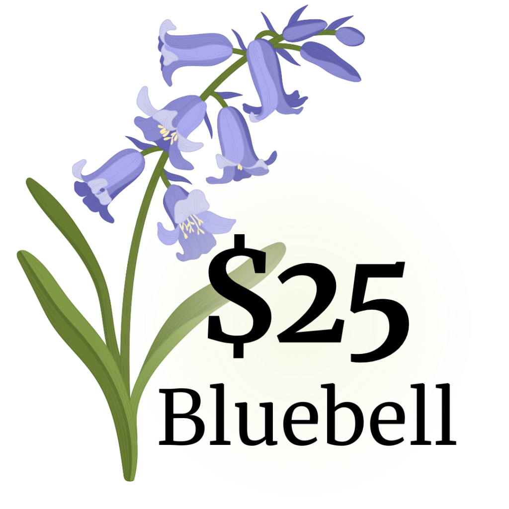 $25 - Bluebell
