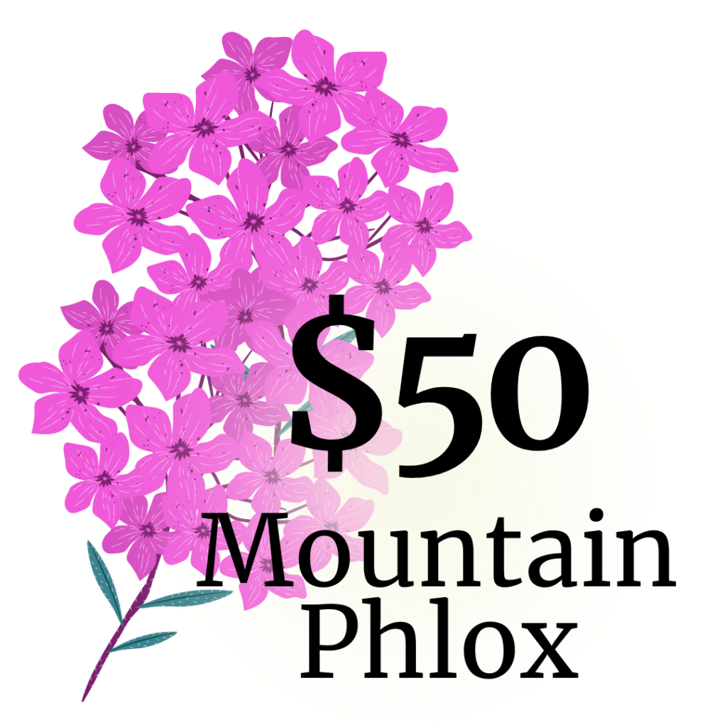 $50 - Mountain Phlox