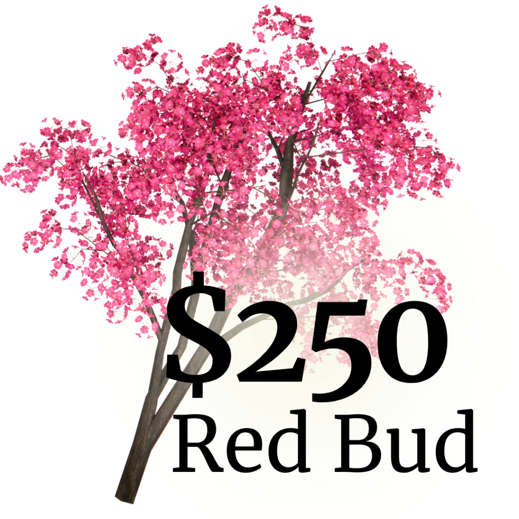 $250 - Red Bud