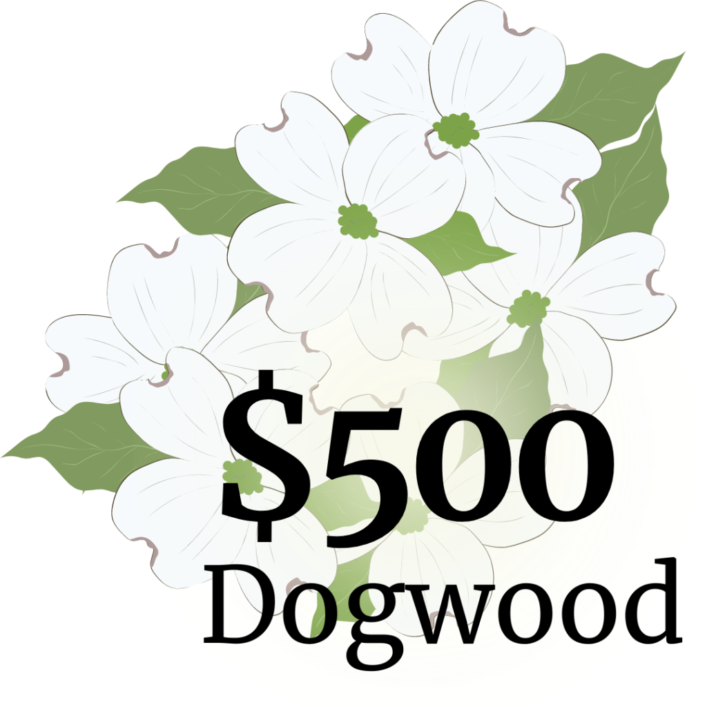 $500 - Dogwood
